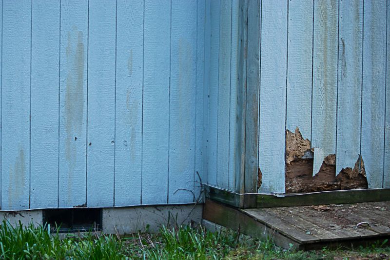 External Siding Repair